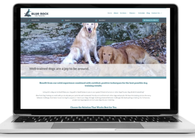Blue Rock Dog Training