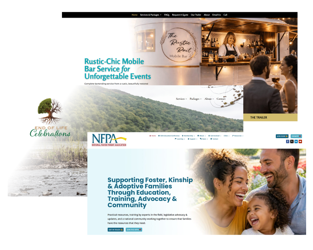 VBW Home Page Website Sampling